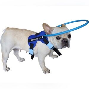 Pet Anti-Collision Ring for Protection